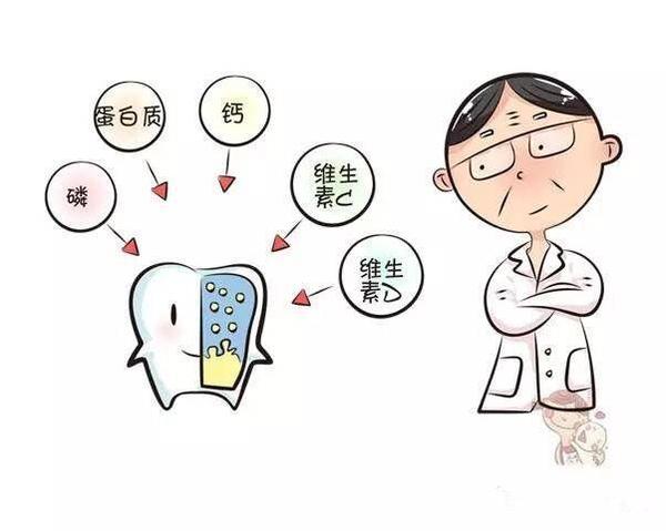 寶寶牙齒是如何發育的？寶寶牙齒發育的小秘密