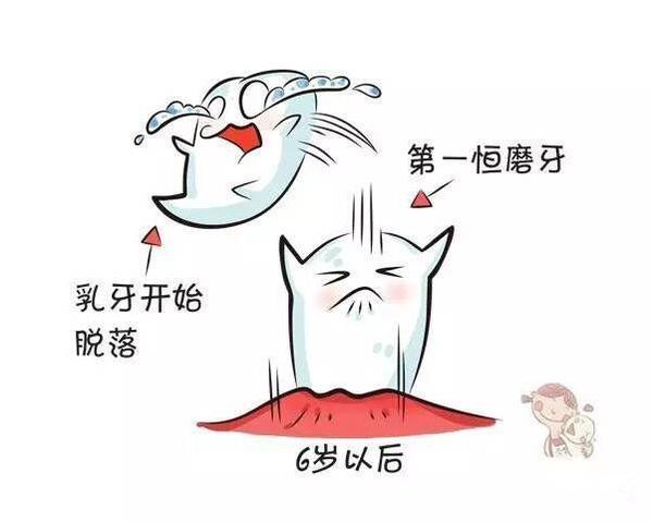 寶寶牙齒是如何發育的？寶寶牙齒發育的小秘密