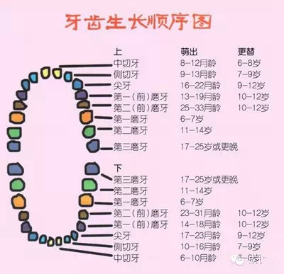 關(guan) 於(yu) 孩子換牙的那些事，是你必須知道的