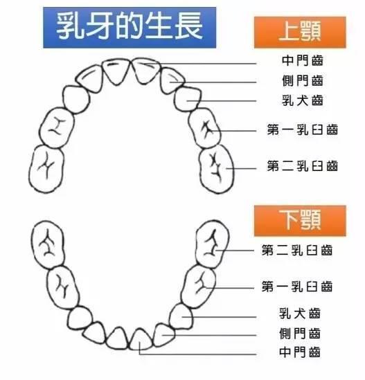 關(guan) 於(yu) 孩子的牙齒，你應該知道的那些事！