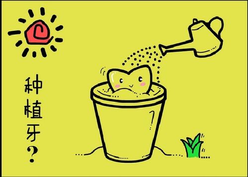 全口種植牙的價(jia) 格是多少