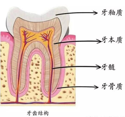 牙齒背麵黑黑的東(dong) 西到底是什麽(me) ？