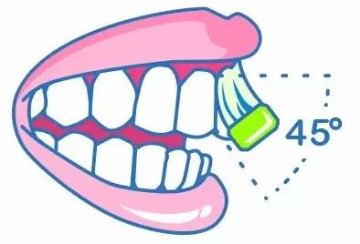 巴斯刷牙法