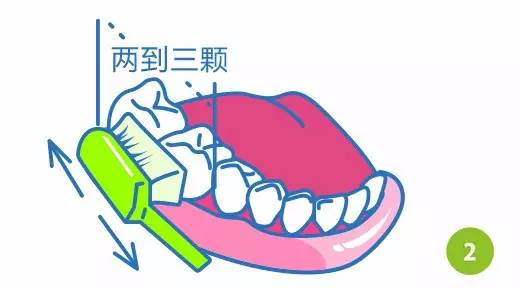 巴氏刷牙法步驟圖解2