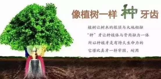 種植牙怎麽(me) 選擇