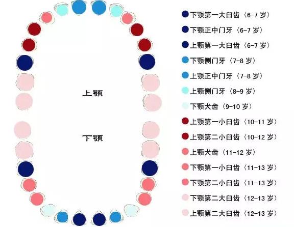 兒(er) 童牙齒鬆動的解決(jue) 辦法