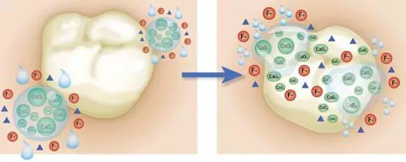 孩子蛀了4、5顆牙怎麽(me) 辦