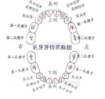 窩溝封閉好不好