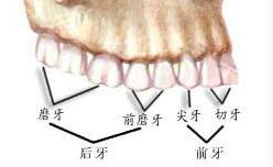 根管治療結果如何