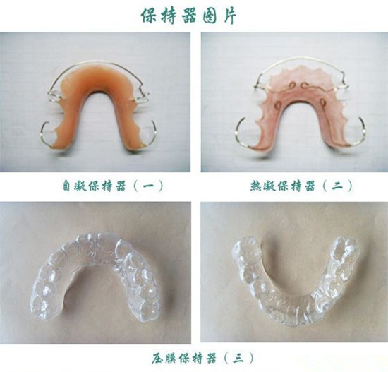 哈利保持器和透明保持器