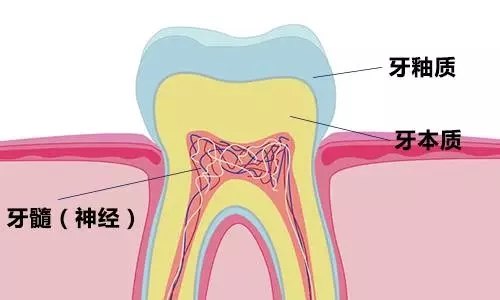 30幾歲牙齦萎縮