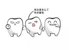 外傷撞擊牙齒的恢複期