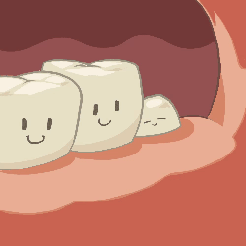 智齒的真實麵貌