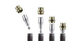 兩顆後牙種德國ankylos的要多少錢