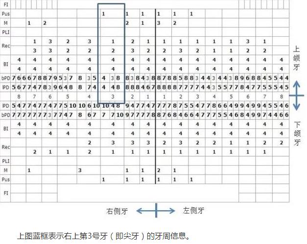 牙周係統檢查表