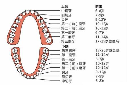 換牙時間